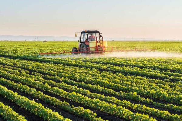 Organic Fertilizer Company in India